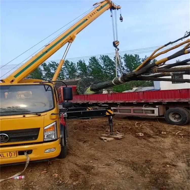 运粮湖管理区100吨吊车租赁费用怎么算？3大关键因素+省钱技巧全解析